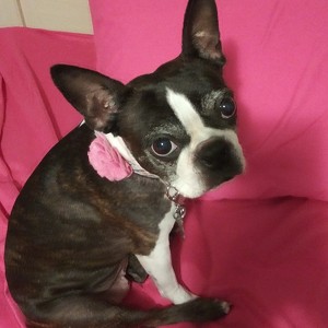 Fundraising Page: Robin Gouty